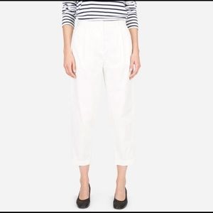 Everlane Slouchy Pleated Chino
